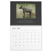 Série de faune de calendrier de vers de bible (Mar 2026)