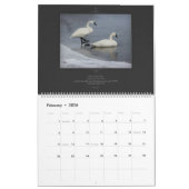 Série de faune de calendrier de vers de bible (Feb 2026)