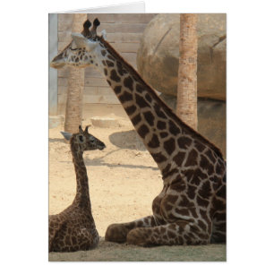 Série de zoo, girafe de bébé et maman