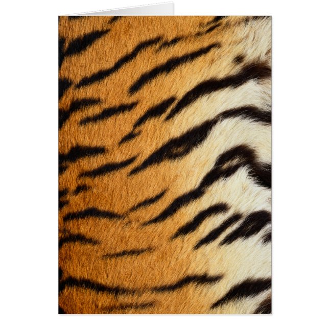 Série des cartes de la faune de la fourrure de tig (Devant)
