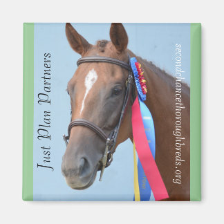 Série Magnet Collectif - Planifiez vos partenaires