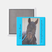 Série Magnet Collectif - Score Offshore (Recto/Verso)