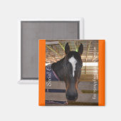 Série Magnet Collectif - Social Club (Recto/Verso)