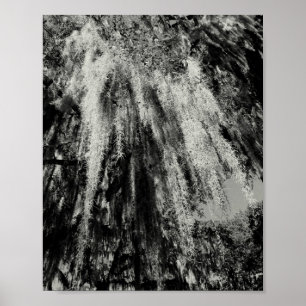 Serie Savannah: Spaans Moss Poster