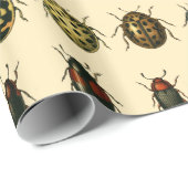 Serie van Ladyvogels Cadeaupapier (Rol Hoek)