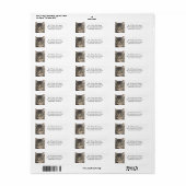 Seriële kat Sluiten Return Address Labker Etiket (Full Sheet)