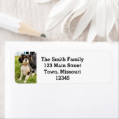 Seriële Return Address Label (Insitu)