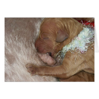 Series-07 nouveau-né