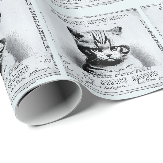 Serieuze kitten, oude krant gepersonaliseerd cadeaupapier (Rol Hoek)