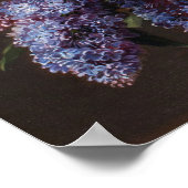 Sering en pioenroos  poster (Hoek)