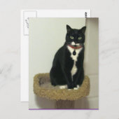 Serious Lucy Briefkaart (Voorkant / Achterkant)