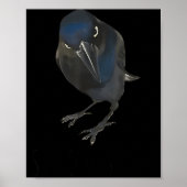 Seriously Funny Crow Sarcastic Quote Poster (Voorkant)