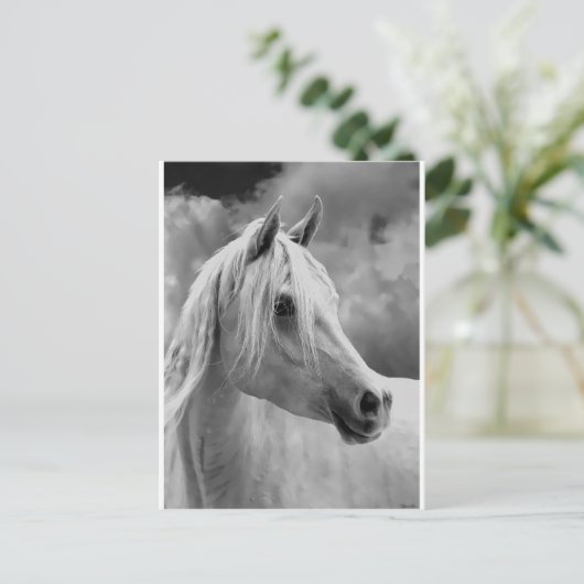 Serne Composition Briefkaart (Staand voorkant)