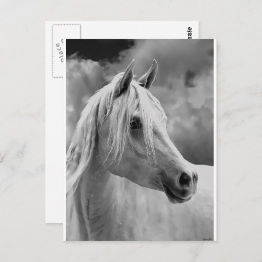 Serne Composition Briefkaart (Voorkant / Achterkant)