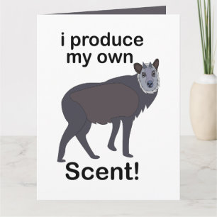 Serows Dier I Produce Mijn Eigen Geur Grappige Cit Kaart