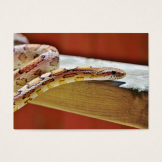 Serpent à maïs rouge coulissant