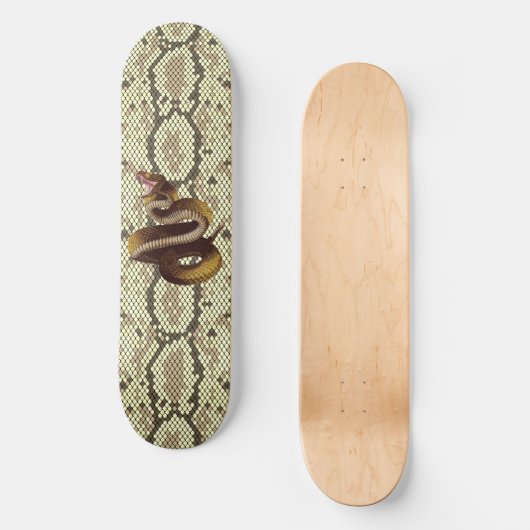 Serpent à sonnette attaquant sur un skateboard en  (Recto)