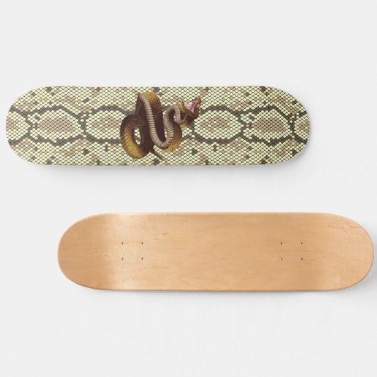 Serpent à sonnette attaquant sur un skateboard en  (Horz)