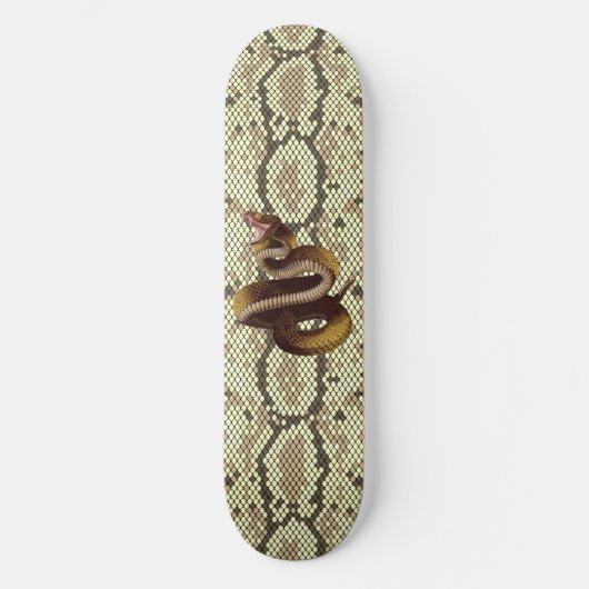 Serpent à sonnette attaquant sur un skateboard en  (Recto)