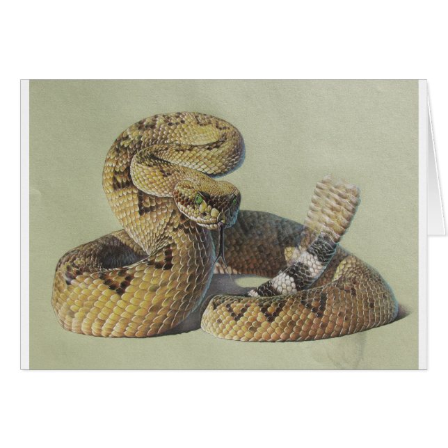 Serpent à sonnettes (Devant horizontal)