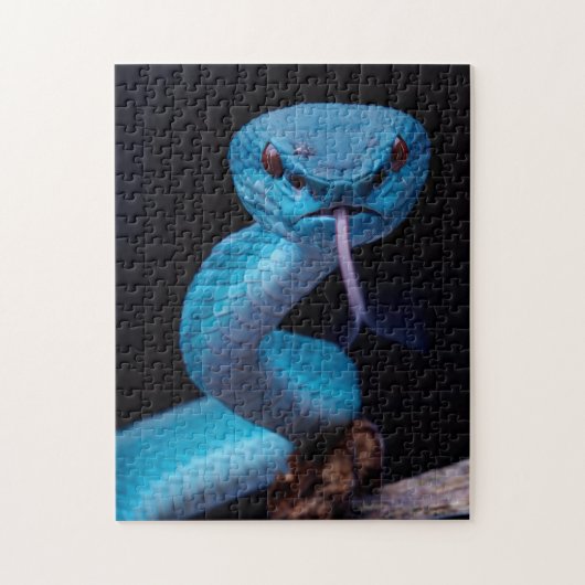 Serpent à vipère bleu 252 pièce Puzzle (Vertical)