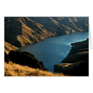 SERPENT AMORTI : Rivière de décembre