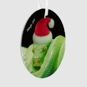 Serpent d'arbre vert dans l'ornement de Santa Hat (devant)