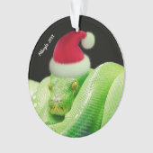 Serpent d'arbre vert dans l'ornement de Santa Hat (devant)
