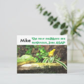 Serpent et grenouille drôle nouvelle adresse carte (Debout devant)