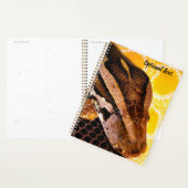 Serpent python birman (Devant avec enveloppe)