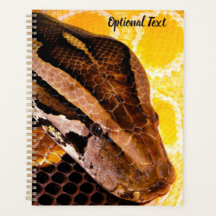Serpent python birman