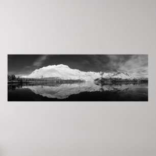Serpentine Cove Black en White Poster