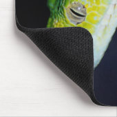 Serpents sur un tapis de souris (Coin)