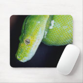 Serpents sur un tapis de souris (Avec souris)