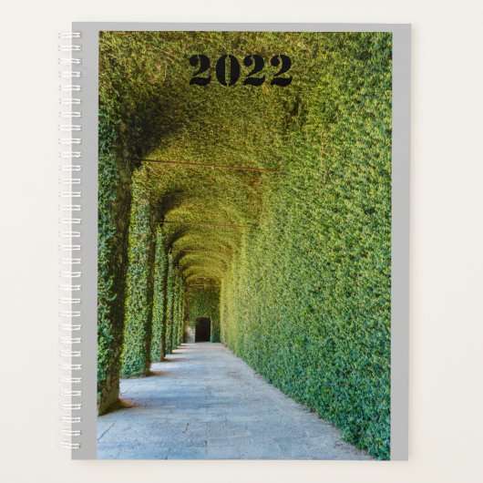 serre verte ficus repens sur planificateur (Devant)