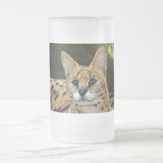 serval 015 matglas bierpul (Center)