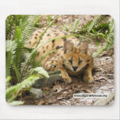 serval 019-exemplaar muismat (Voorkant)