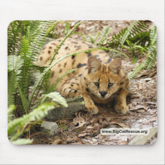serval 019-exemplaar muismat