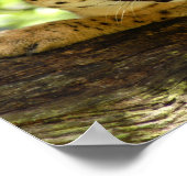 serval 035 poster (Hoek)