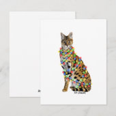 Serval - carte de vacances (Devant / Derrière)