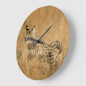 Serval (gemeente) Jumping Grote Klok (Hoek)