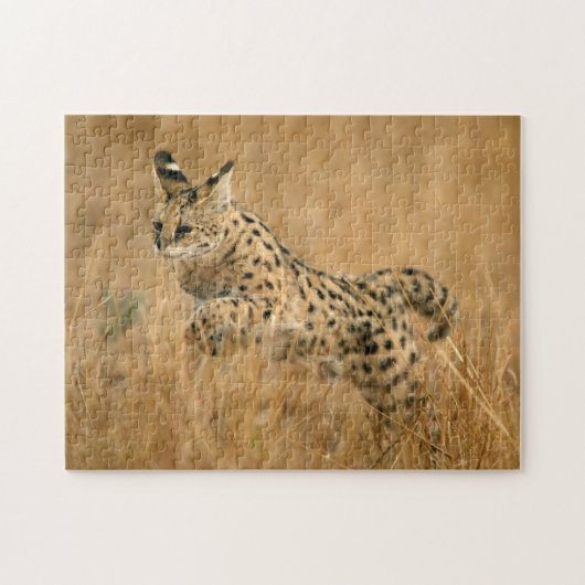 Serval (Leptailurus Serval) Springen Legpuzzel (Horizontaal)