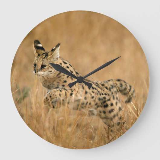 Serval (Leptailurus Serval) springt Grote Klok (Voorkant)