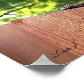 Serval Savannah Kitten USA Canvas Print (Hoek)