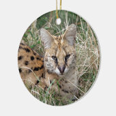 Servale kattenontspanning in gras keramisch ornament (Links)