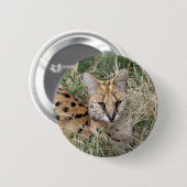 Servale kattenontspanning in gras ronde button 5,7 cm (Voorkant /achterkant)