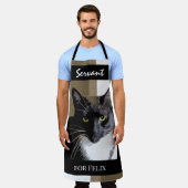 Servant voor de Kat past het All-Over Apron van de Schort (Gedragen)