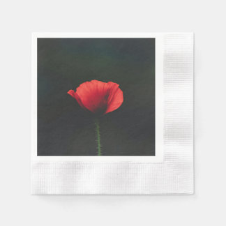 Servet: Een veelgebruikte alternatieve term.Tissue Servet