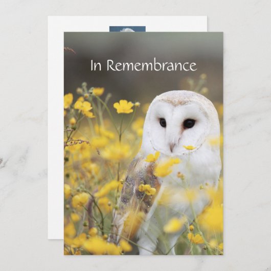 Service commémoratif Invitation Barn Owl Bird Flow (Devant / Derrière)