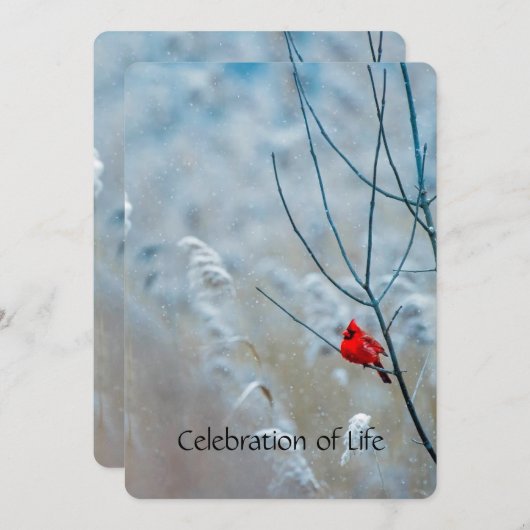 Service commémoratif Invitation Cardinal Red Bird (Devant / Derrière)